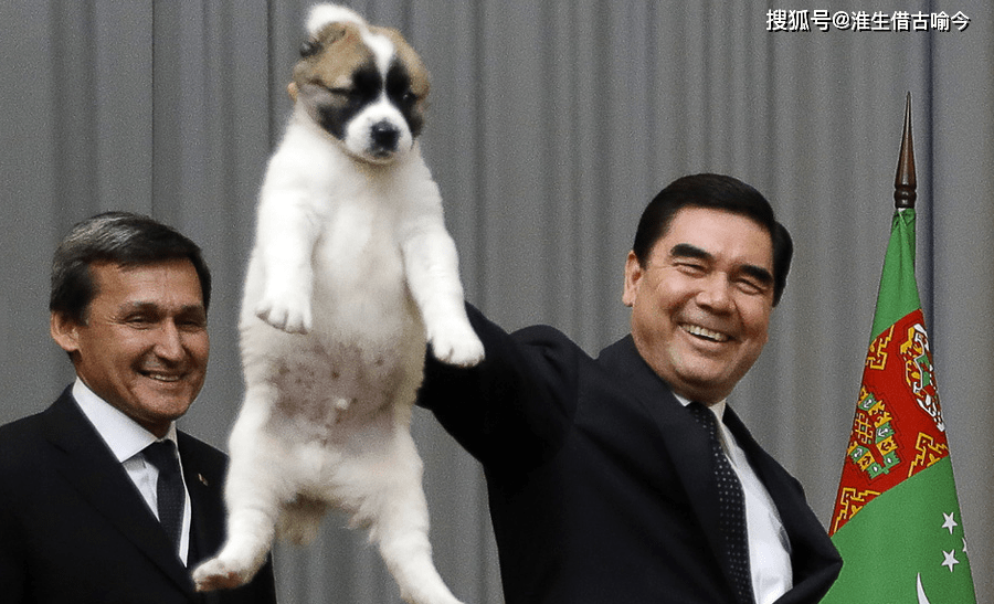 原创2007年铁娘子默克尔被普京的拉布拉多吓坏了普京温柔地安慰她