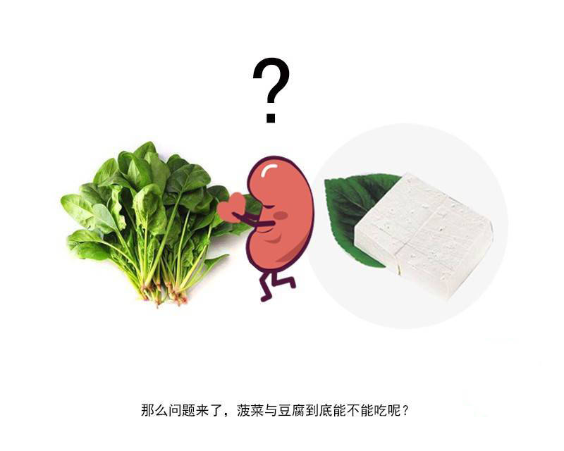 肾脏|豆腐吃多了会引发肾结石？真正的“罪魁祸首”，实则是这3个原因