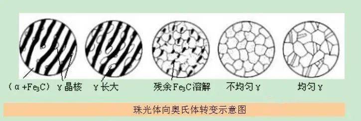 铁素体和珠光体示意图图片