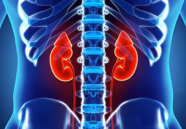 恭喜肾脏还健康表现一:常常脚凉脚位于身体的末梢部位,心脏通过血管