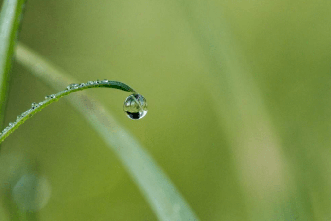 抵抗能力你的春季肌肤是否有脆弱？快进来自检一下吧！