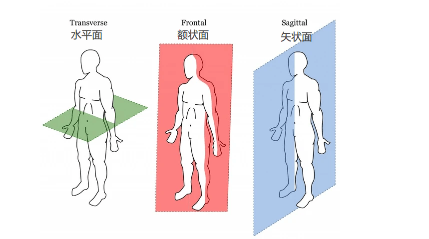 水平面动作图片