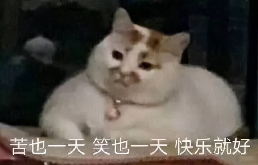 因为她对比几年前的神颜真的降低了很多惊艳感，问题出在哪？