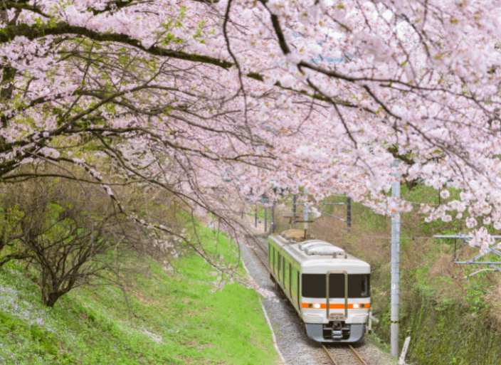 67早稻田大学日本最负盛名院校没有之一