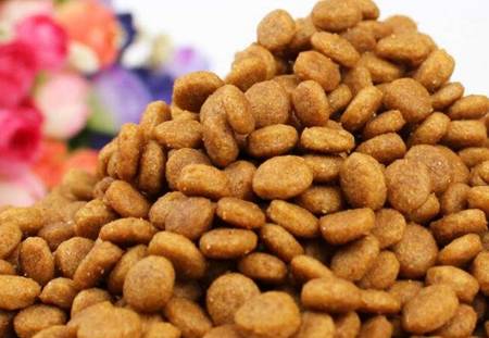 进行柯基在换粮后泪痕会消退吗，柯基更换狗粮后泪痕会好吗