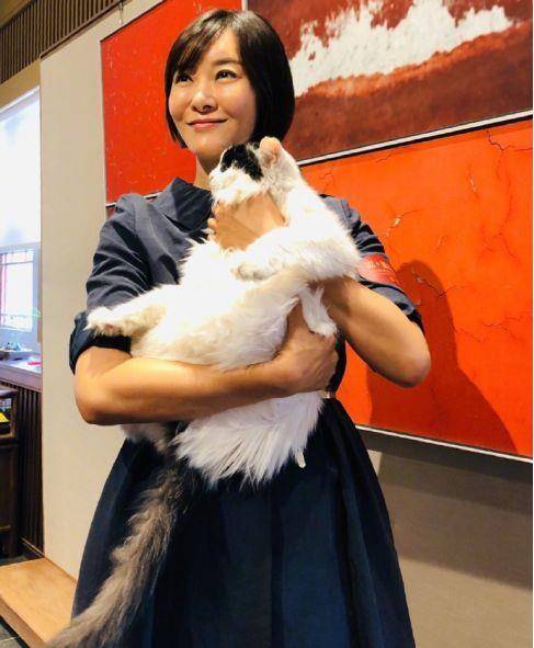 小8特意找了柯蓝的微博,发现确实有些疑问,抱着猫咪恰好遮挡了肚子.