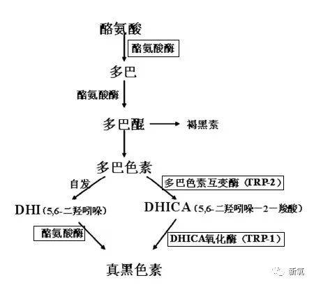 治疗同样是白皮，为什么少女总有玻璃般的透明感？