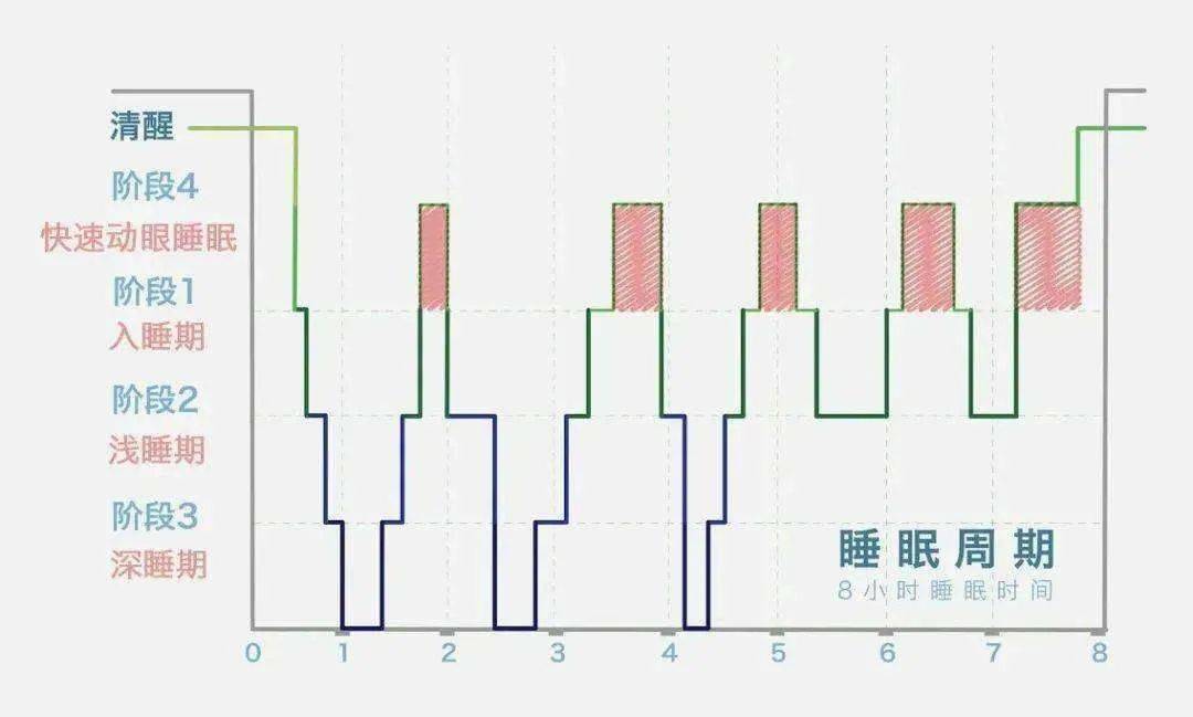 人们|关于睡眠的谣言，你中了几个？