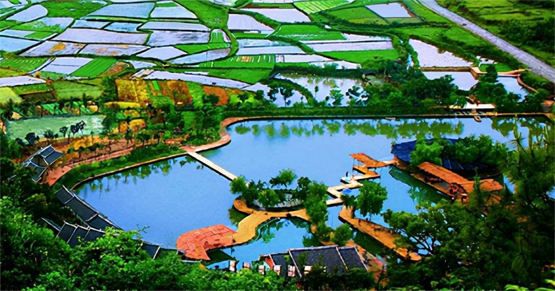 生态农业专业整合资源性平台–中国绵阳生态农业-中南文化网