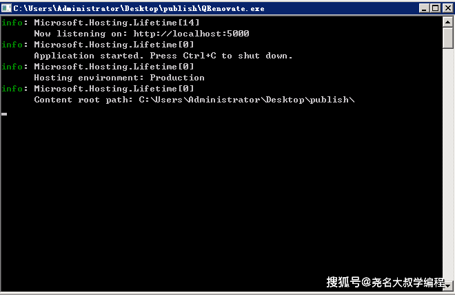  NET 6 Kestrel Web HTTP HTTPS Http Path Tls
