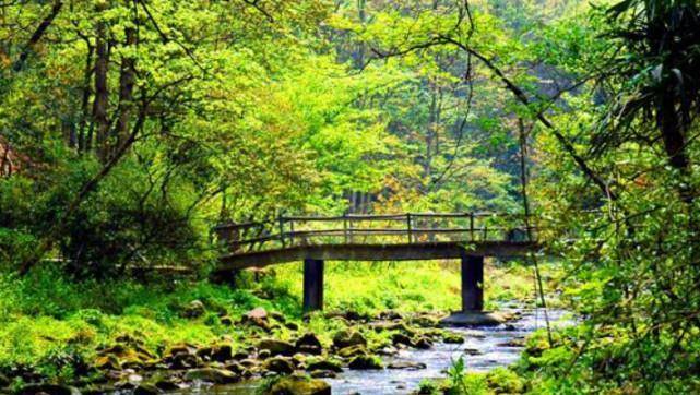 原创未来一个月3大生肖吉星相照钱财滚滚来苦尽甘来心想事成