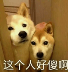 水就刚打好水准备洗车，男子中途上了个洗手间，回头一看直接炸毛