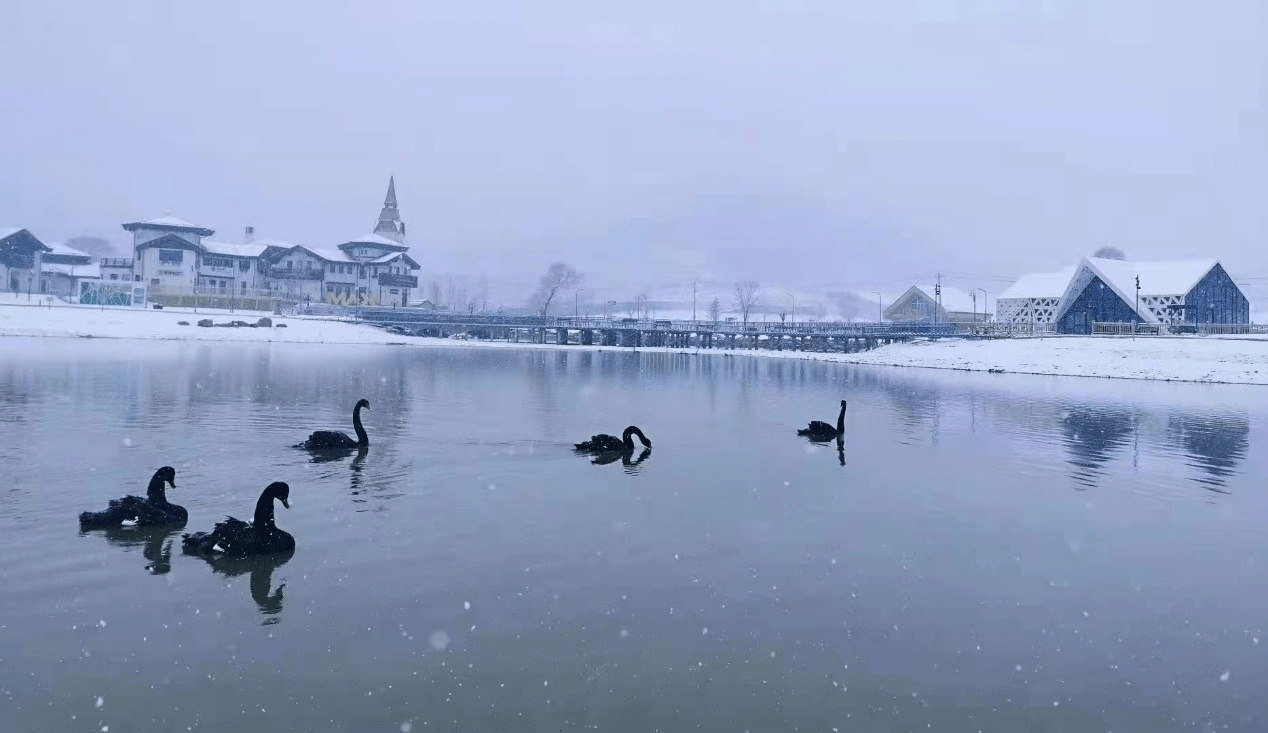 冰雪|奥伦达-冬奥小镇海坨山谷驶入发展快速道，冰雪运动逆势出圈