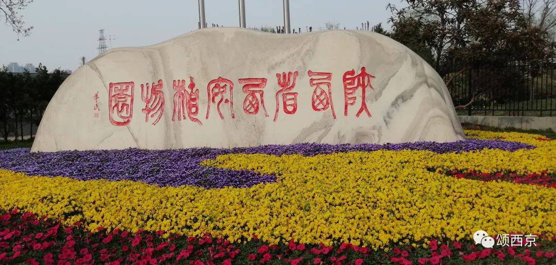 从植物大门南很远的西围墙一字排到植物园大门北边的停车场,然后又拐