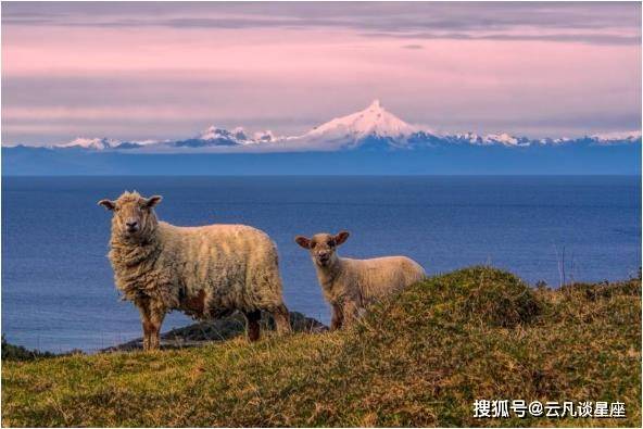 原創老人說了生肖羊3月迎來三羊開泰好運滾滾來