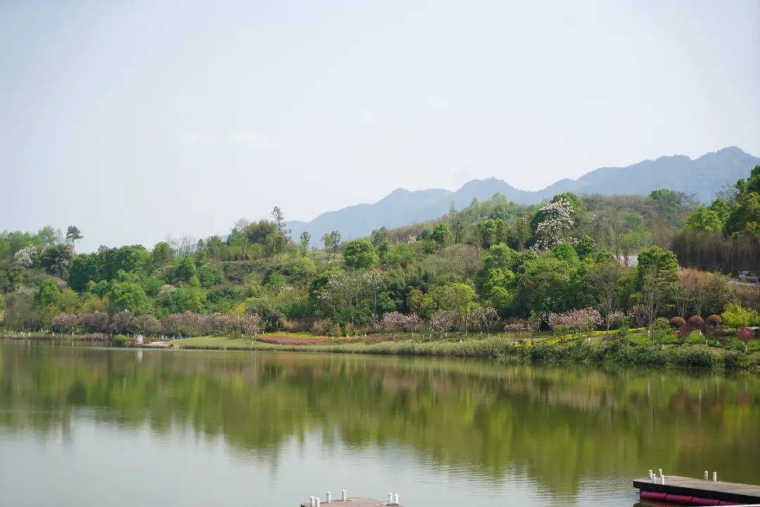 湖畔|藏在重庆周边的湖畔酒店、湖畔咖啡馆，隐居和露营的心水之选