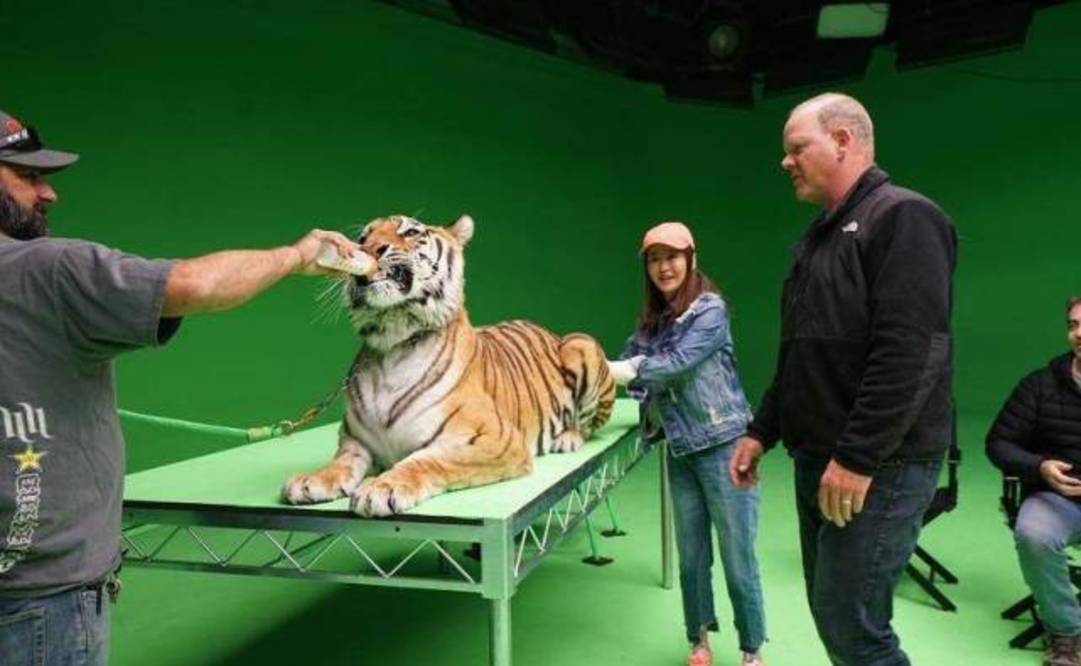 电影|对郝蕾翻白眼，回怼陈祉希，《导演请指教》里的他为什么这么勇？！