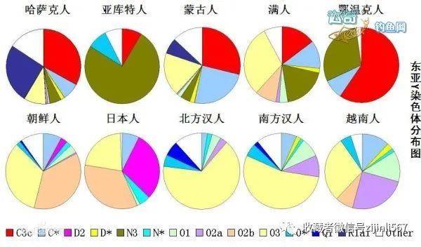 日本人,韓國人,中國人基因上的區別_染色體_人種_民族