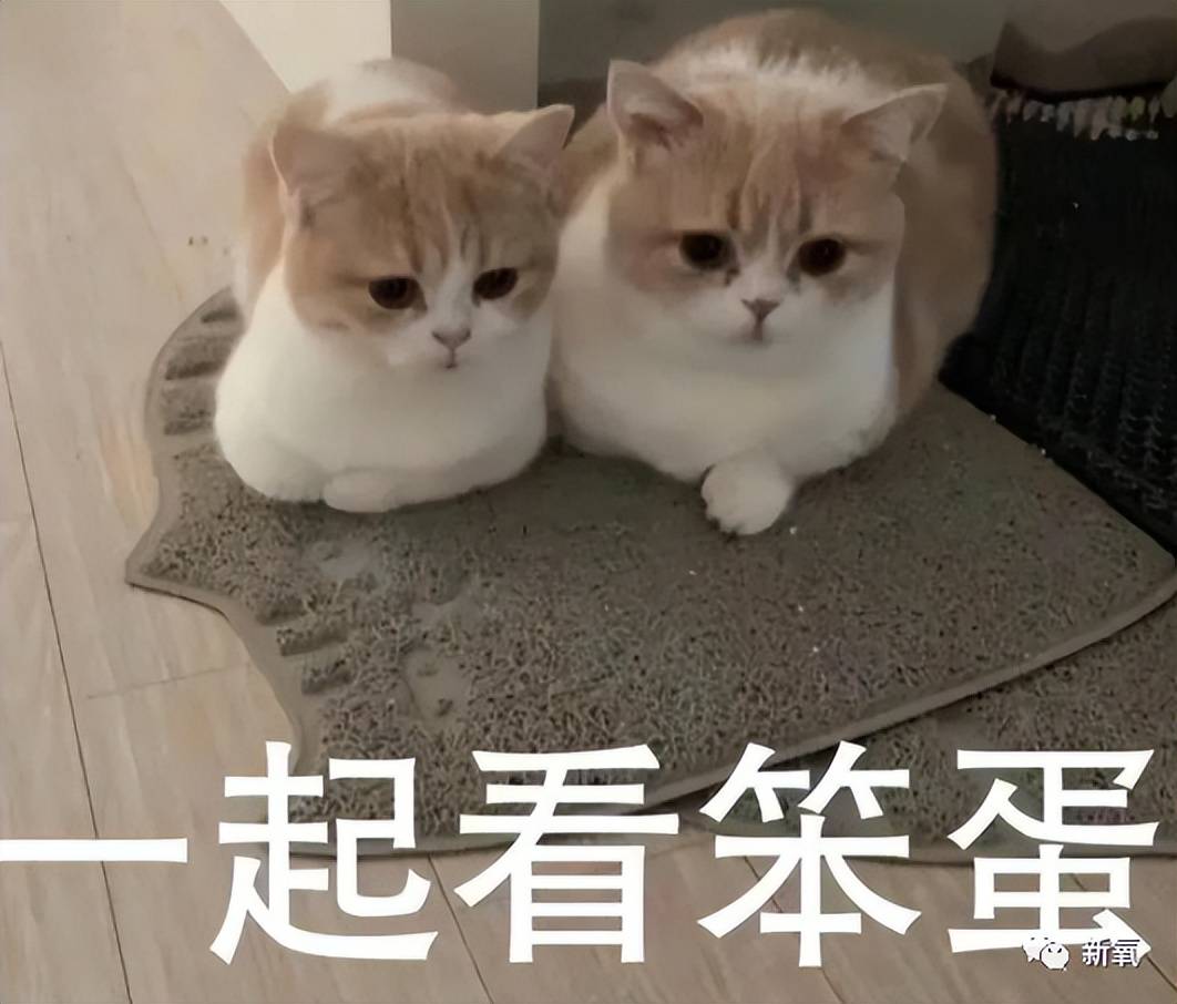 因为安妮海瑟薇是怎么回春的？