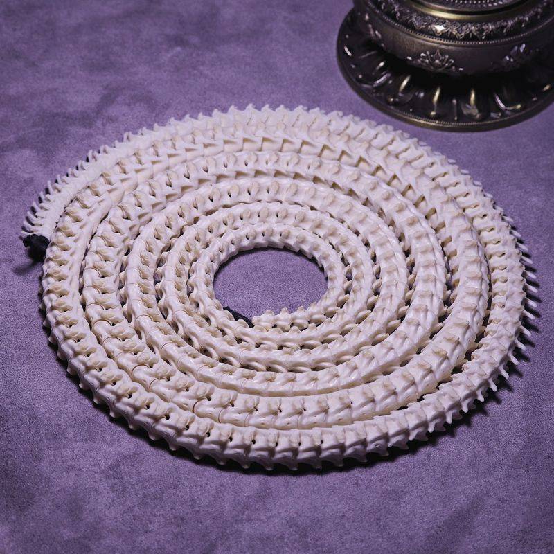 印度古老幻术通天绳绳子直通云霄揭秘后普通人也能做到