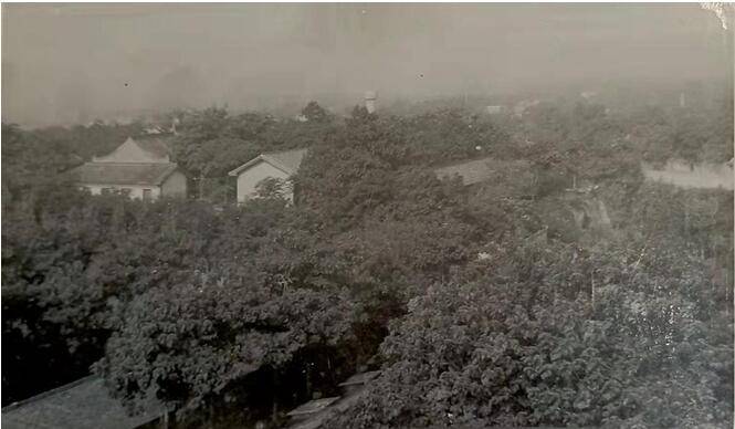 冬远春来 大安驛感怀 泾阳县 安寺 历史