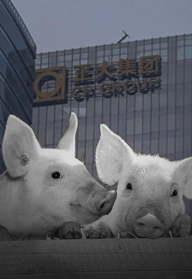  泰国首富要来A股“养猪”，2020年148亿关联交易，成IPO拦路虎？