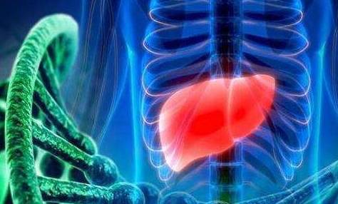 地方|肝脏异常时，会出现两臭两红，如果你有其中一个，还请及时检查！