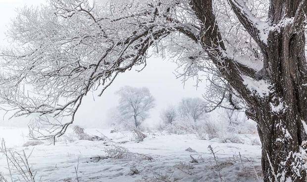 《雪》尤袤图片