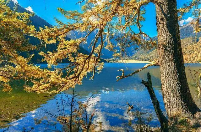 四川又一“九寨沟”，湖泊美丽似明镜，宛如置身仙境
