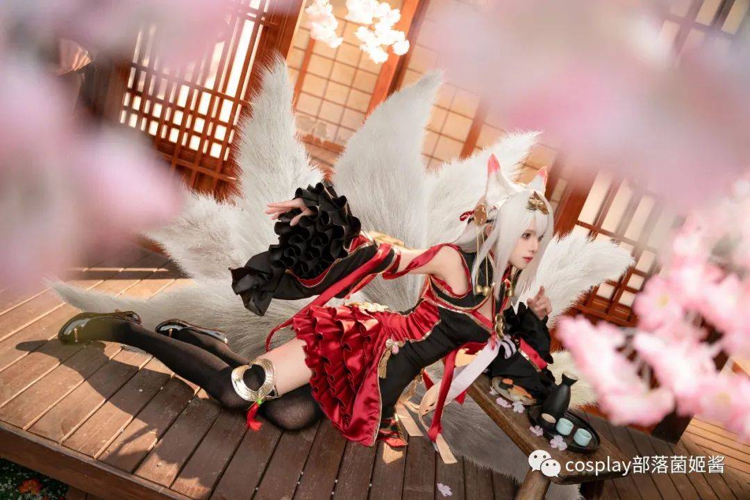 cos终焉誓约稻荷葛叶cos正片腥味猫罐