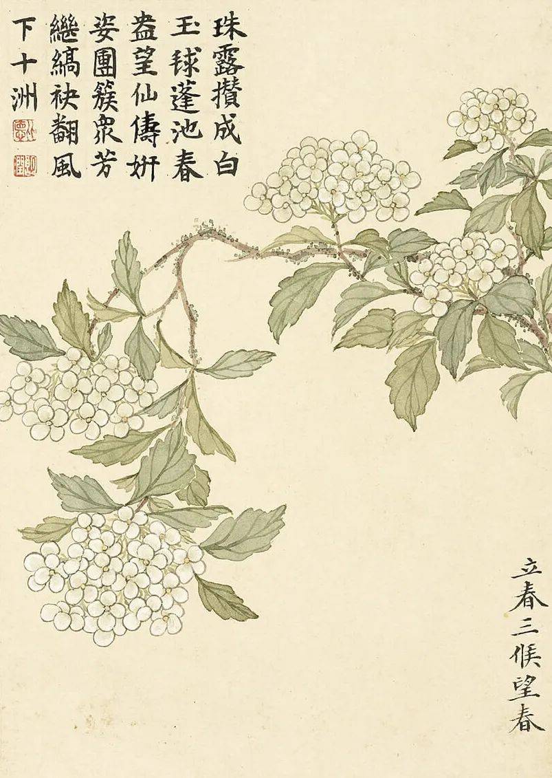 三候望春雨水一候菜花二候杏花三候李花惊蛰一候桃花二候棣棠三候蔷薇