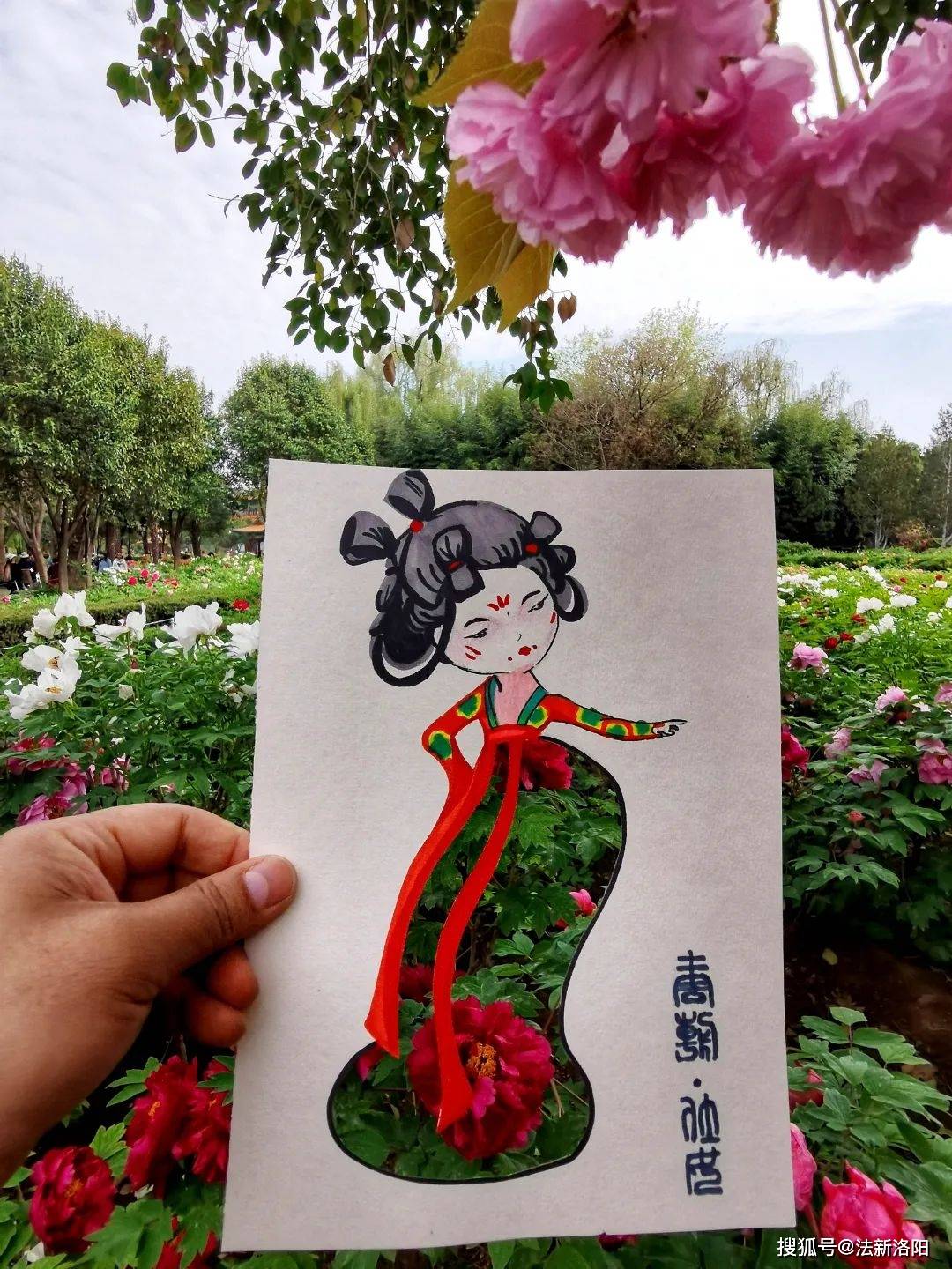 束春光把洛阳的春天穿在身上…太美了