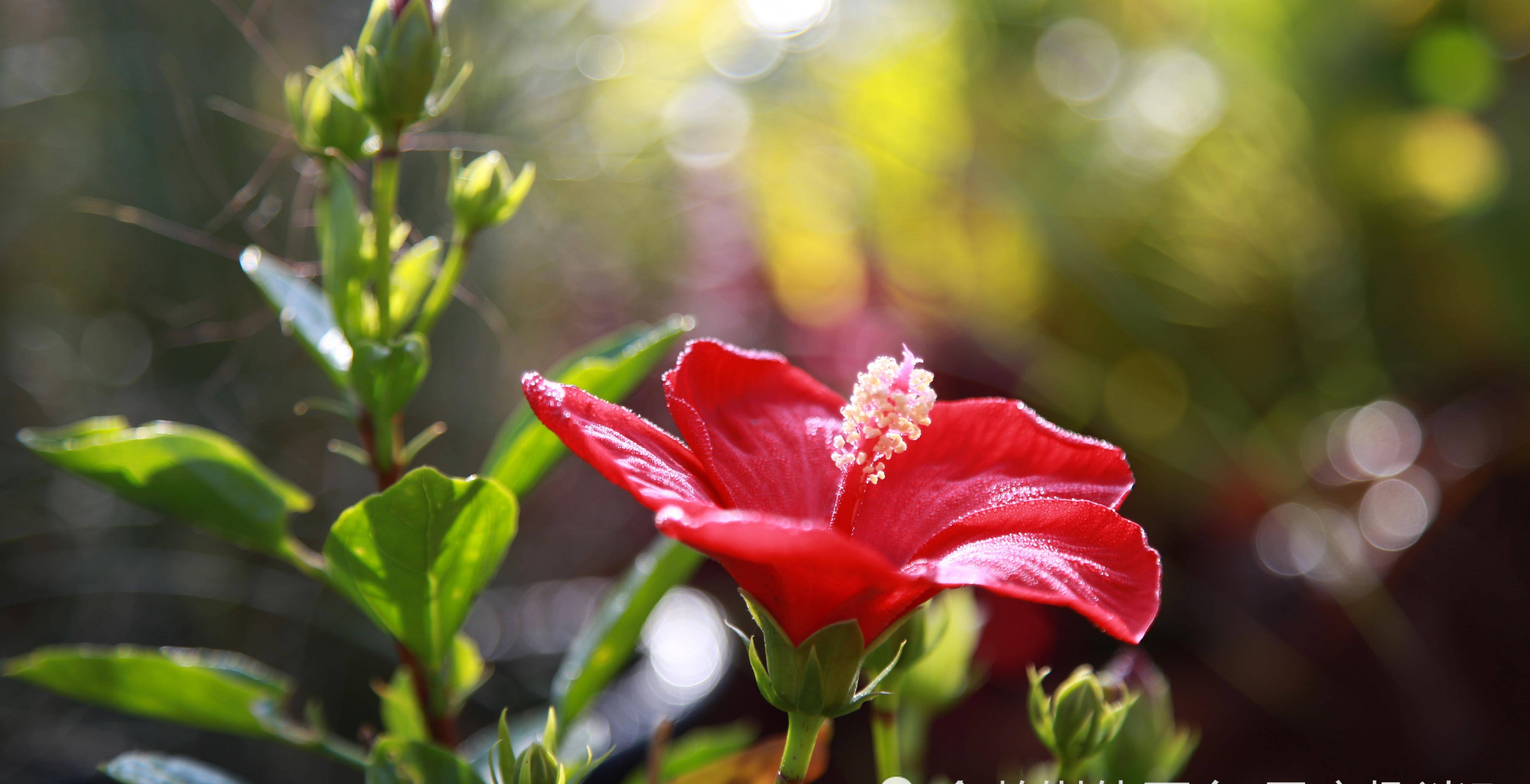 3月26日 31日星座运势 集思广益 稳扎稳打的四大星座 生活 方面 的结果