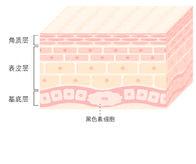 表皮层爱长斑的女生，除了淡斑精华，你还可以...