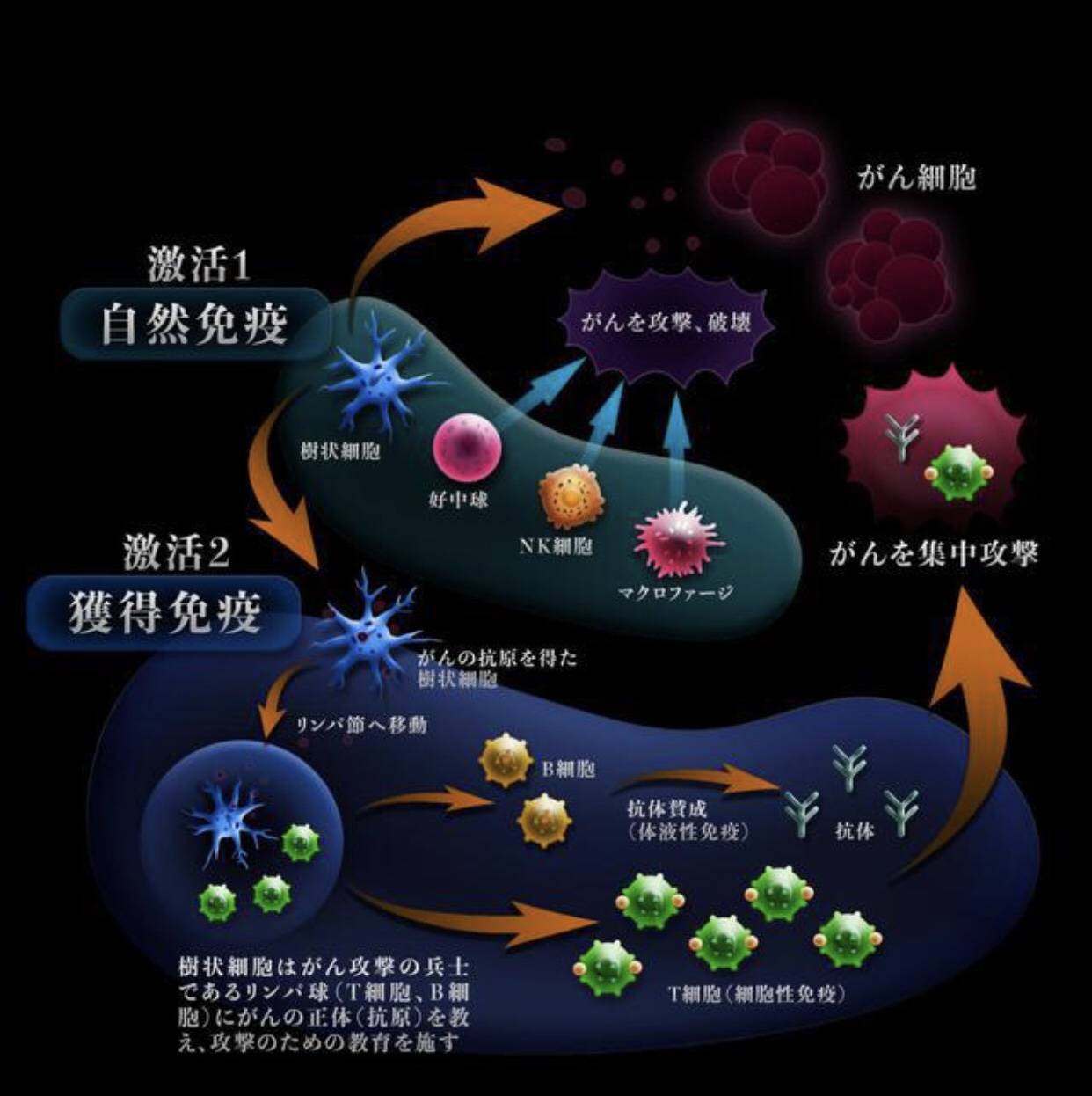 爆破榕忆美免疫护肤：突破性“攻”、“守”、“救”三效兼备