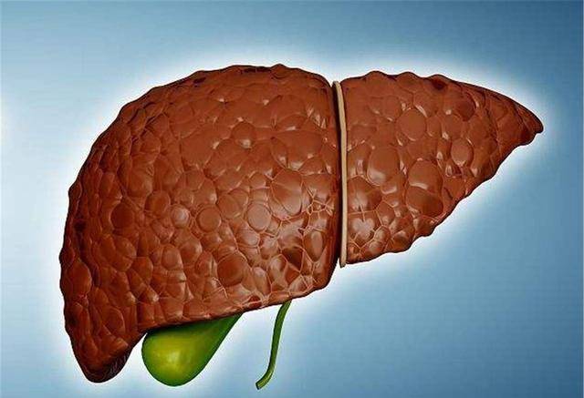 肝脏|为何肝病一查出来就是中晚期？也许多于3个因素有关，建议了解