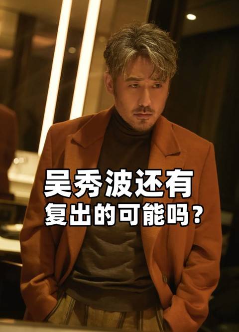 吴秀波还有复出的可能性吗