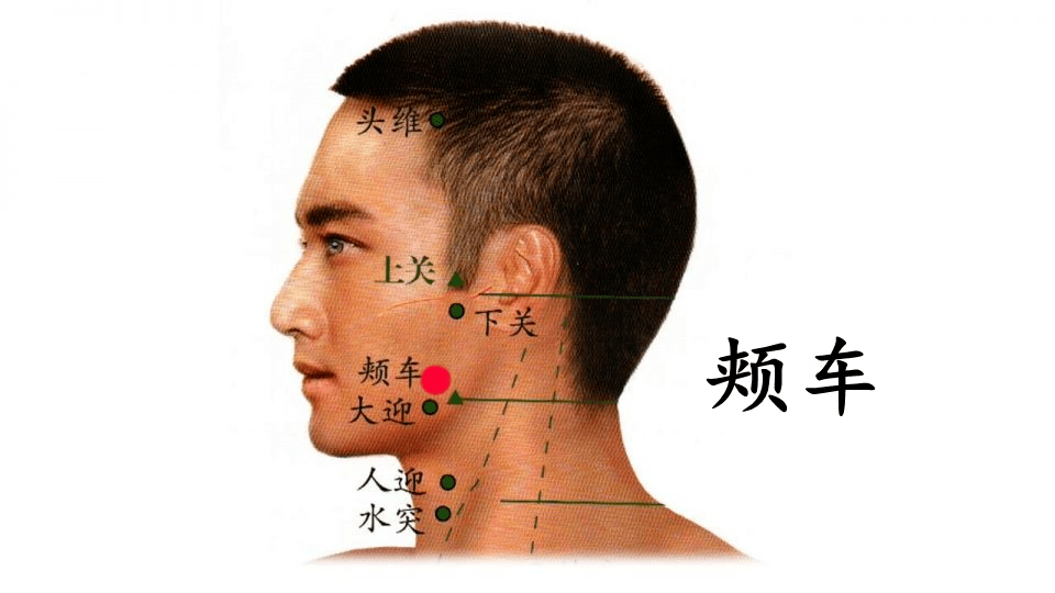 牙关位置图片