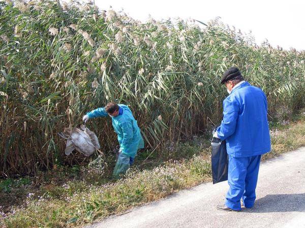 特稿：美国生物实验乱象祸害全球