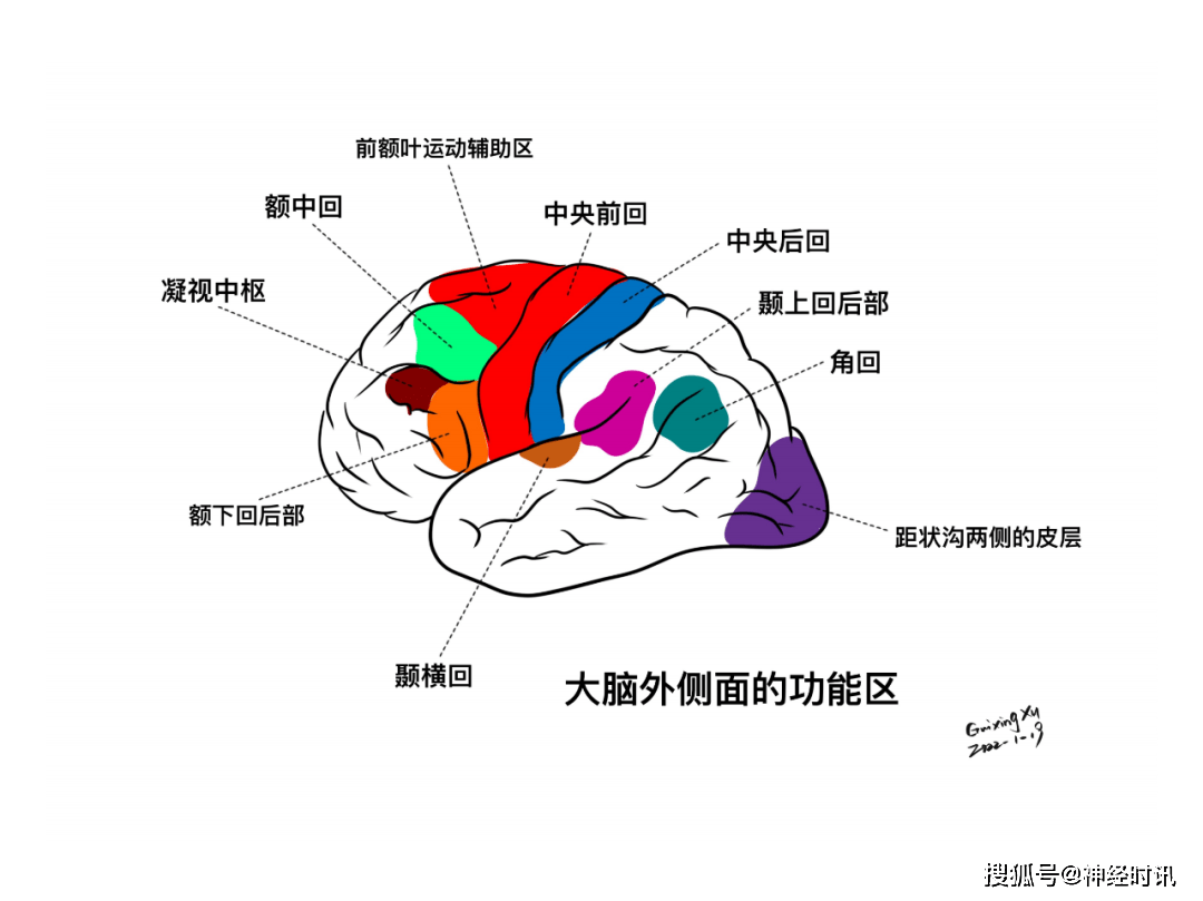 额叶综合征图片