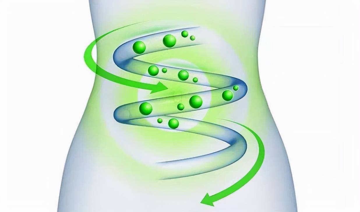 究竟什么是膳食纤维,又有什么特别之处?