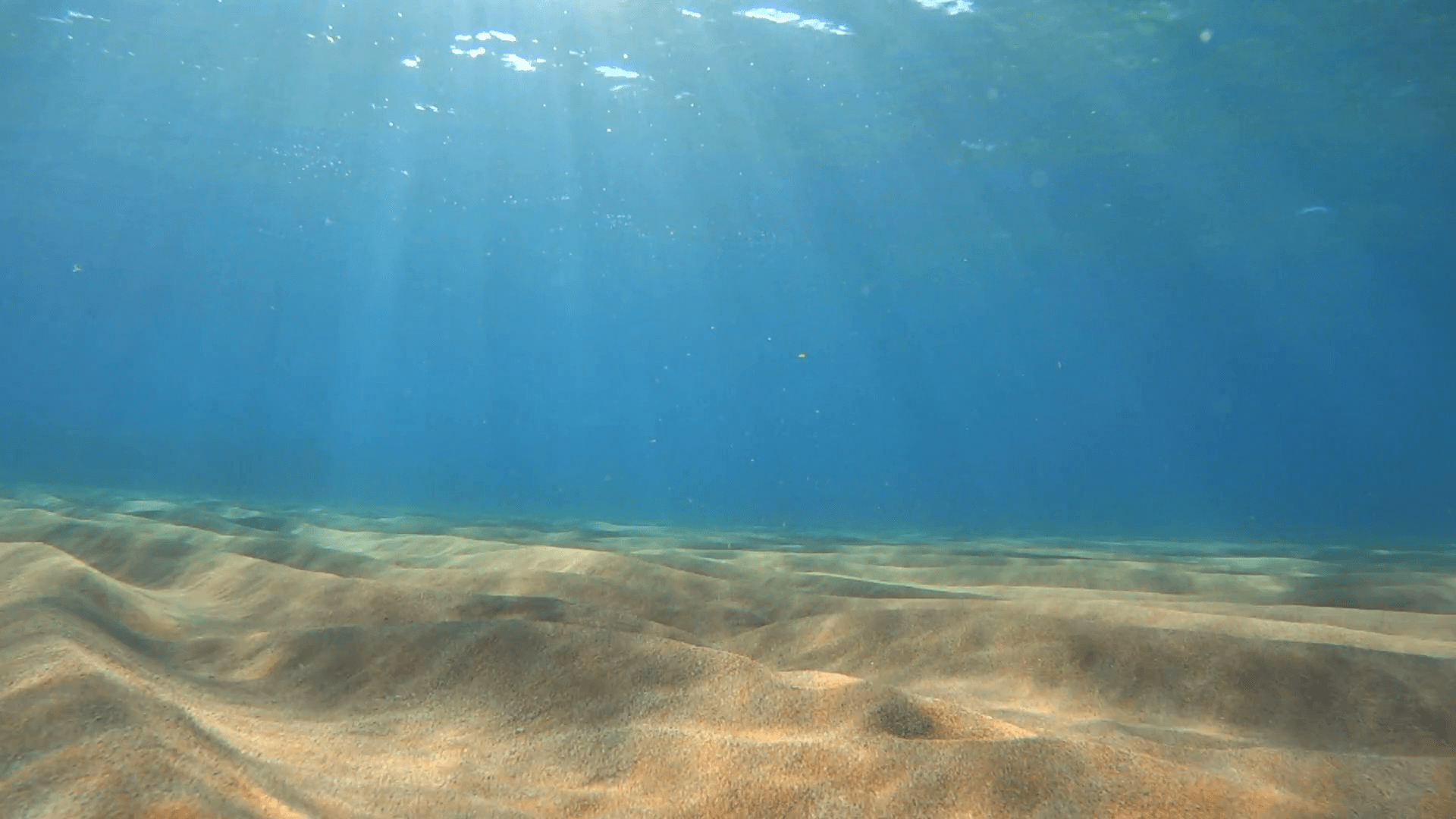 世界上最清澈的海洋,水下1000米处仍能感光,却船敢经过