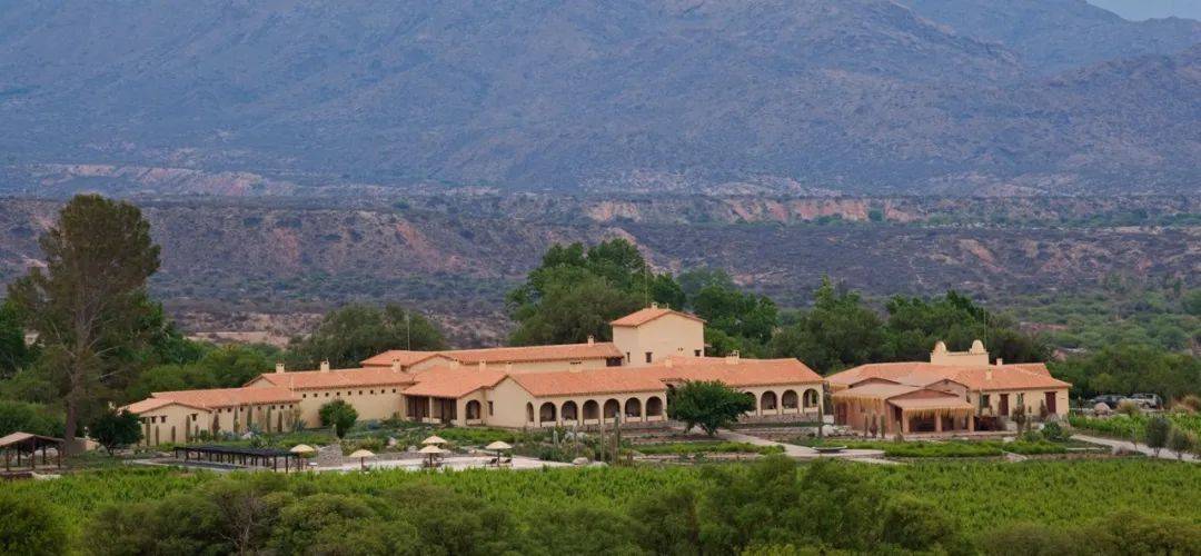 地区|?高海拔和低海拔葡萄酒的区别