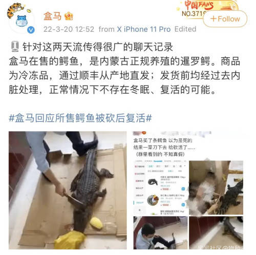 原创买回家的冷冻鳄鱼复活了吃鳄鱼真的不违法吗