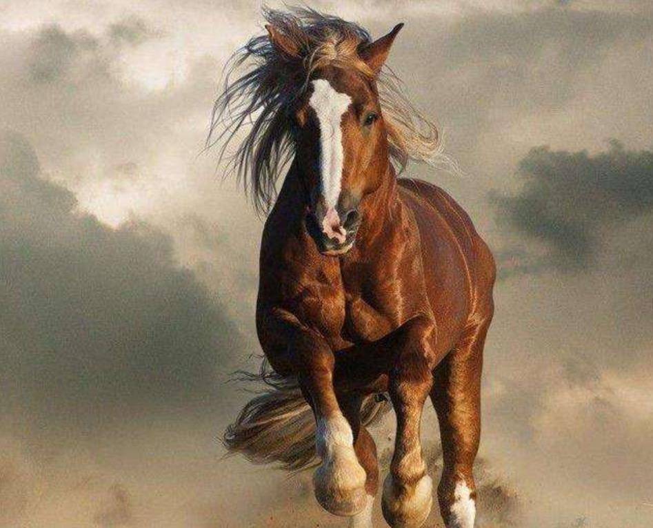 赤兔之死原文详细内容 f1552c3c08414803a8efa3e6fe6e9896.jpeg