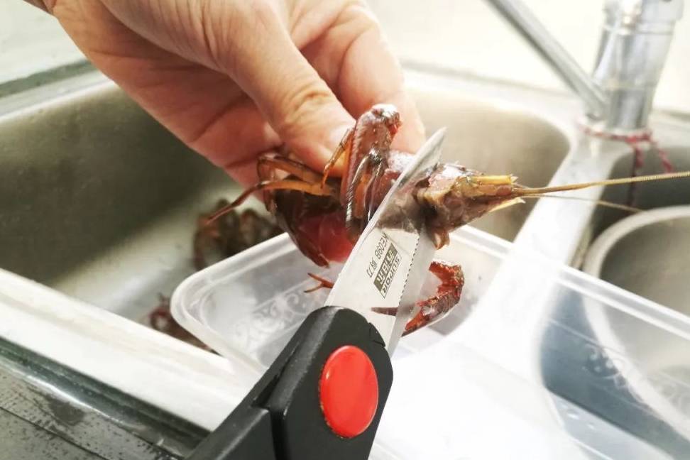 夏季小龙虾最肥美尝尝这道啤酒烧小龙虾颜值不错味道杠杠的