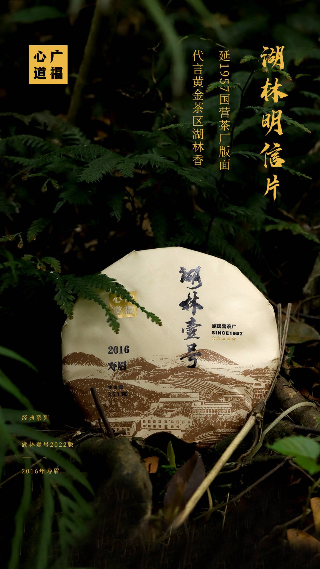 1957年國營茶廠之輪廓,還原湖林村綠水青山之生態環境,茂林修竹繞茶廠