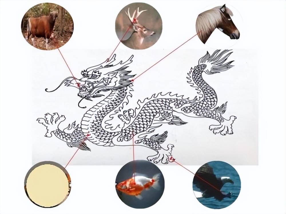 体长超百米谷歌地图发现巨蛇骨架网友怀疑是龙真相如何