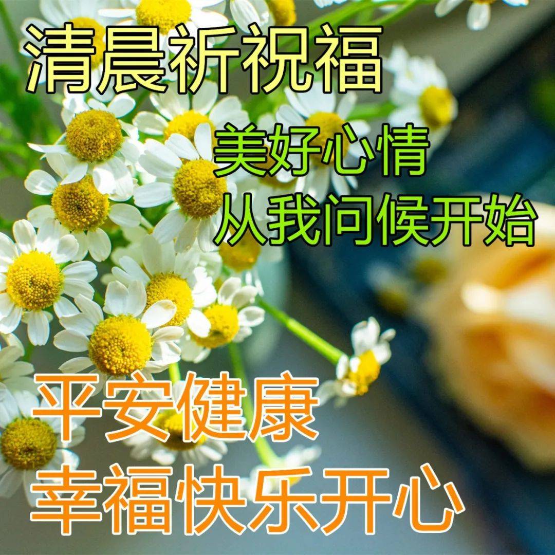 原创早上好问候祝福动态表情最新早安问候语动态图片表情