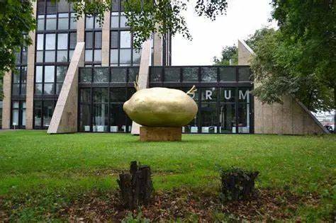 德国设立有关于土豆的博物馆,其中不仅收藏着颜色或者形状各异的土豆